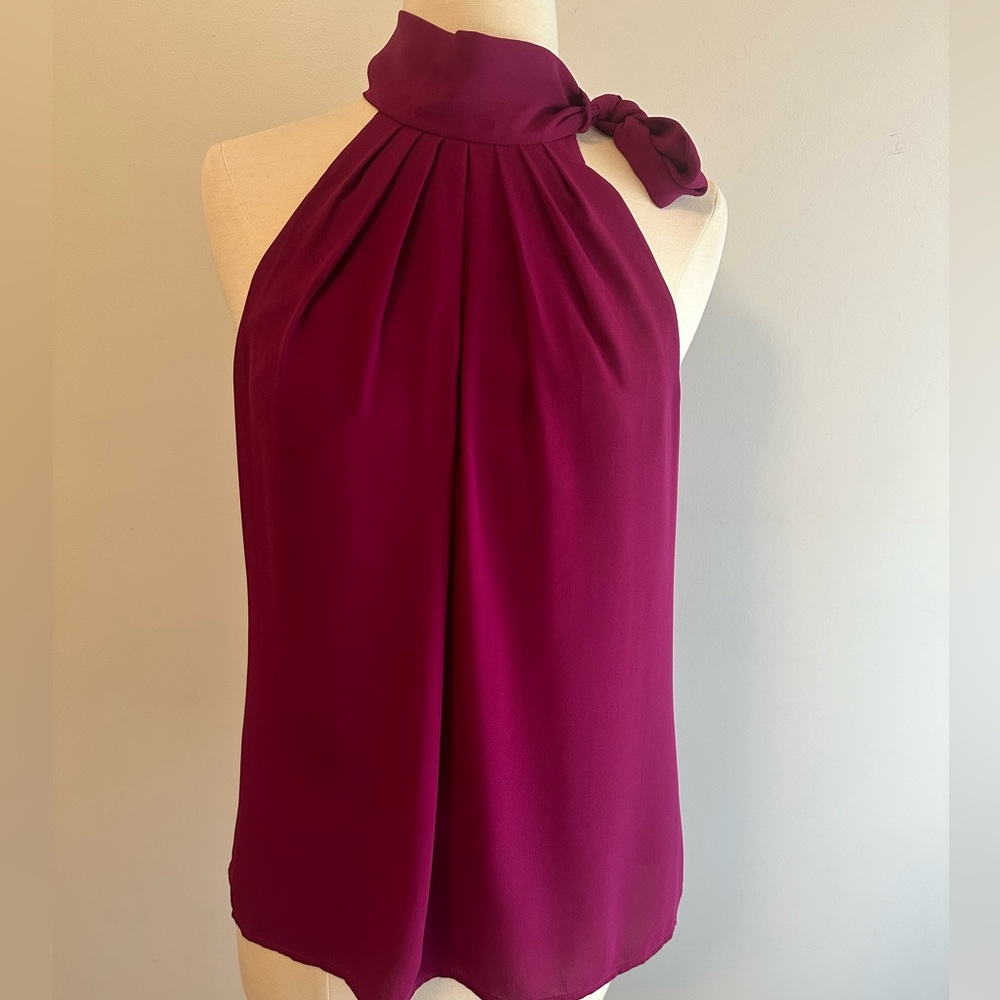 Express - sophisticated, wine colored top with side neck tie.